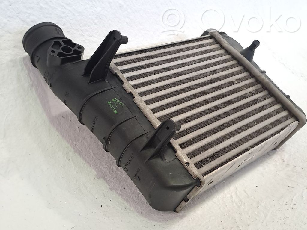 Seat Exeo (3R) Radiatore intercooler