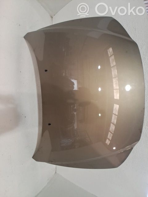Vano motore/cofano   30796490