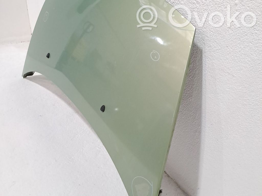 Motorhaube   7901K6