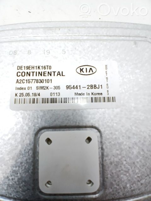Gearbox control unit/module   954412BBJ1