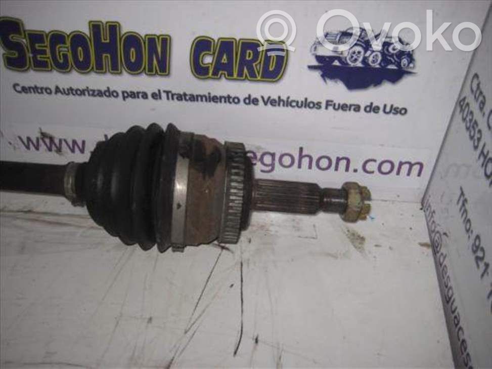 Semiasse anteriore   495012E700