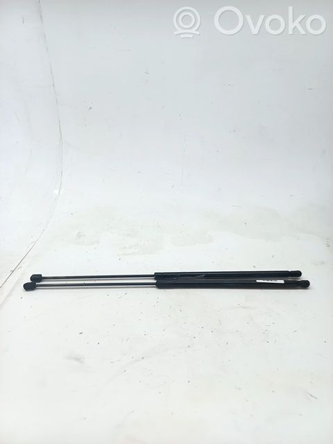 Volkswagen PASSAT CC Ammortizzatore portellone anteriore/cofano