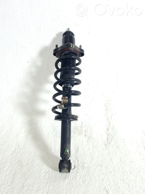 Amortizor spate   5105790AC