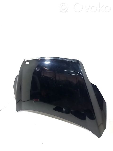 Ford Focus Vano motore/cofano 