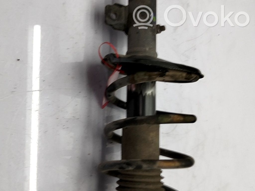 Stoßdämpfer vorne   543020142R
