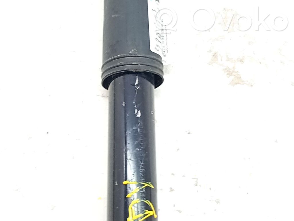 Fiat Panda II Amortizor spate 
