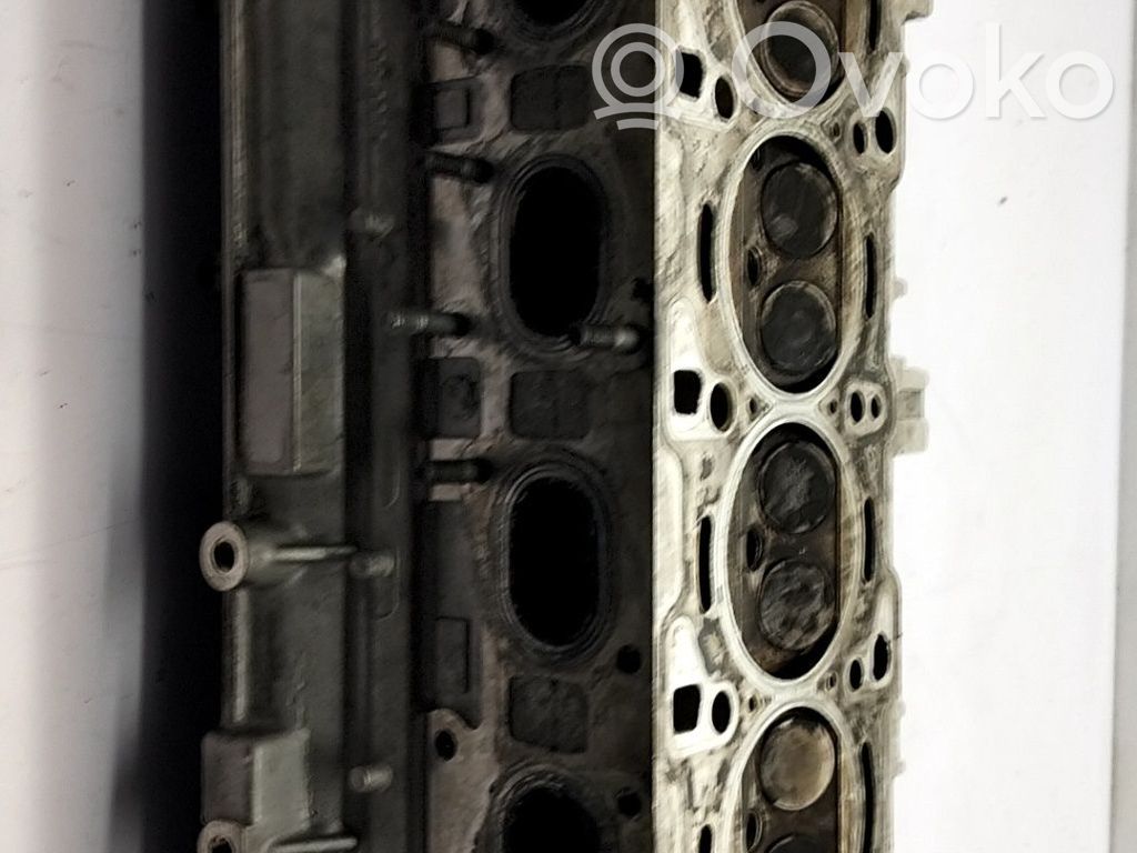 Sylinterinkansi   71730274