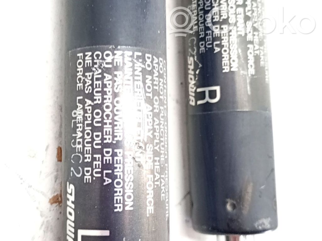 Honda Insight Tampon hayon/capotă portbagaj 