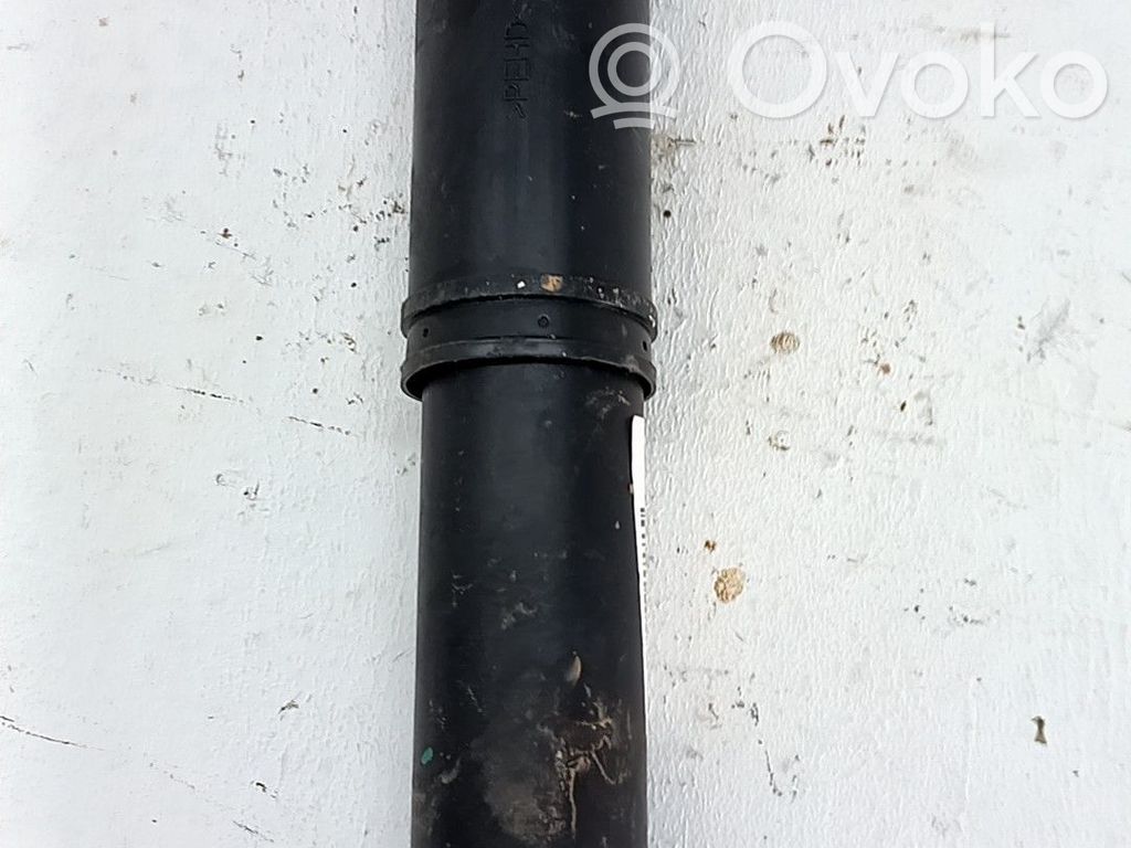 Stoßdämpfer hinten   9816509880