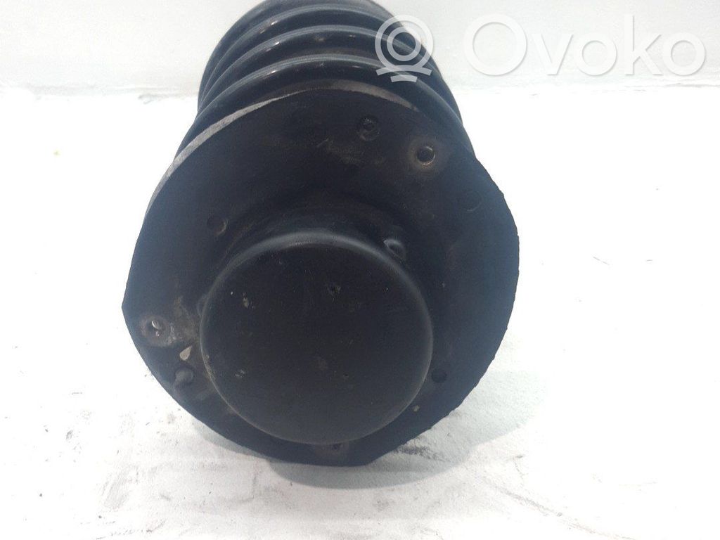 Stoßdämpfer vorne   5202LW