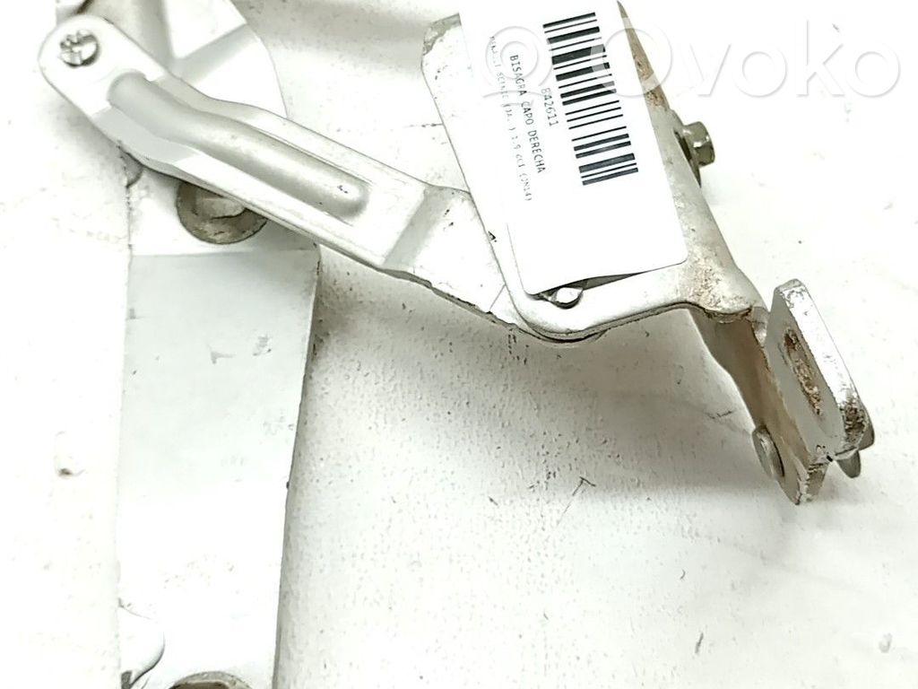 Renault Scenic I Balamale capotă