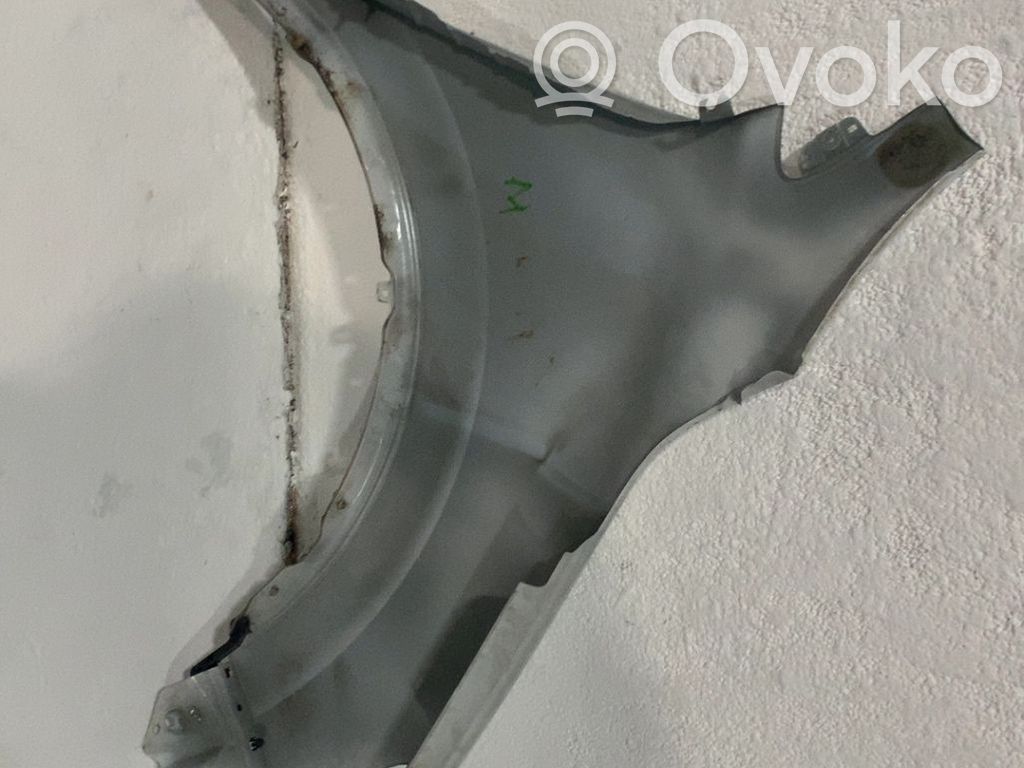 Radlauf vorne   631013206R