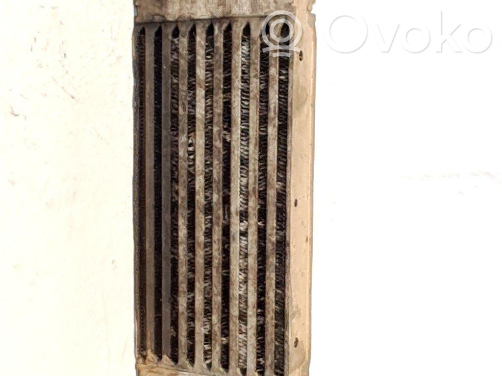 Interkūlerio radiatorius   93177425