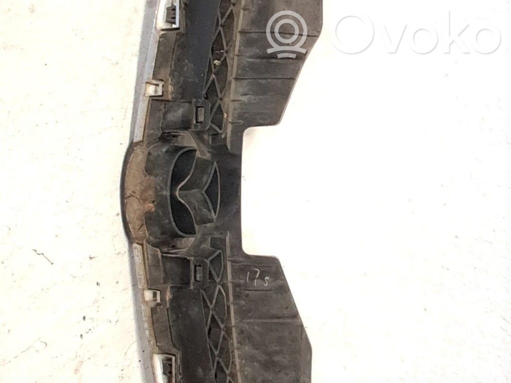 Kühlergrill   C23550710C