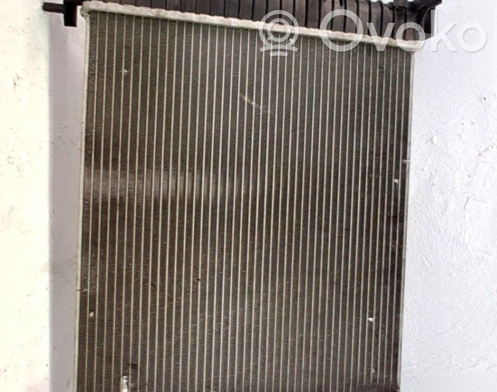 Radiatore di raffreddamento   13283247