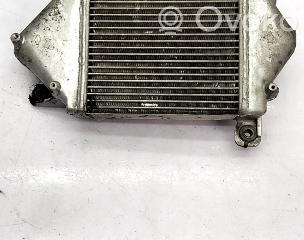 Intercooler radiator   144617F404