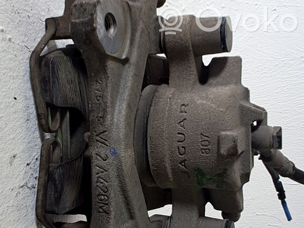 Etujarrusatula   T4N9757