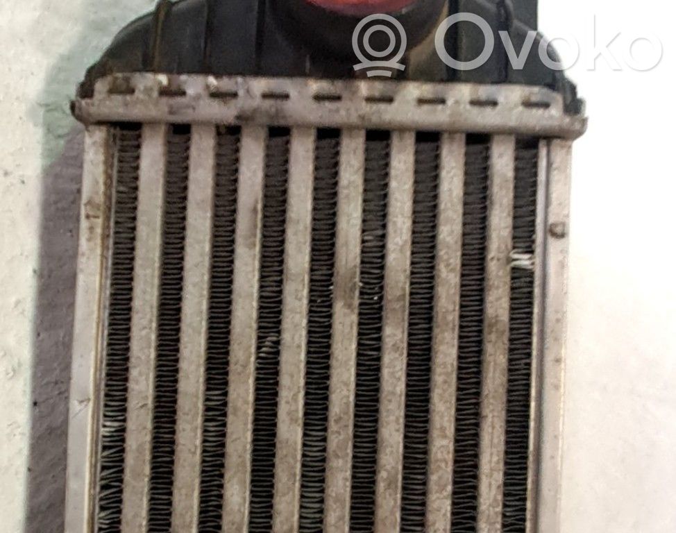 Radiatore intercooler   4999282,7T169L440AE