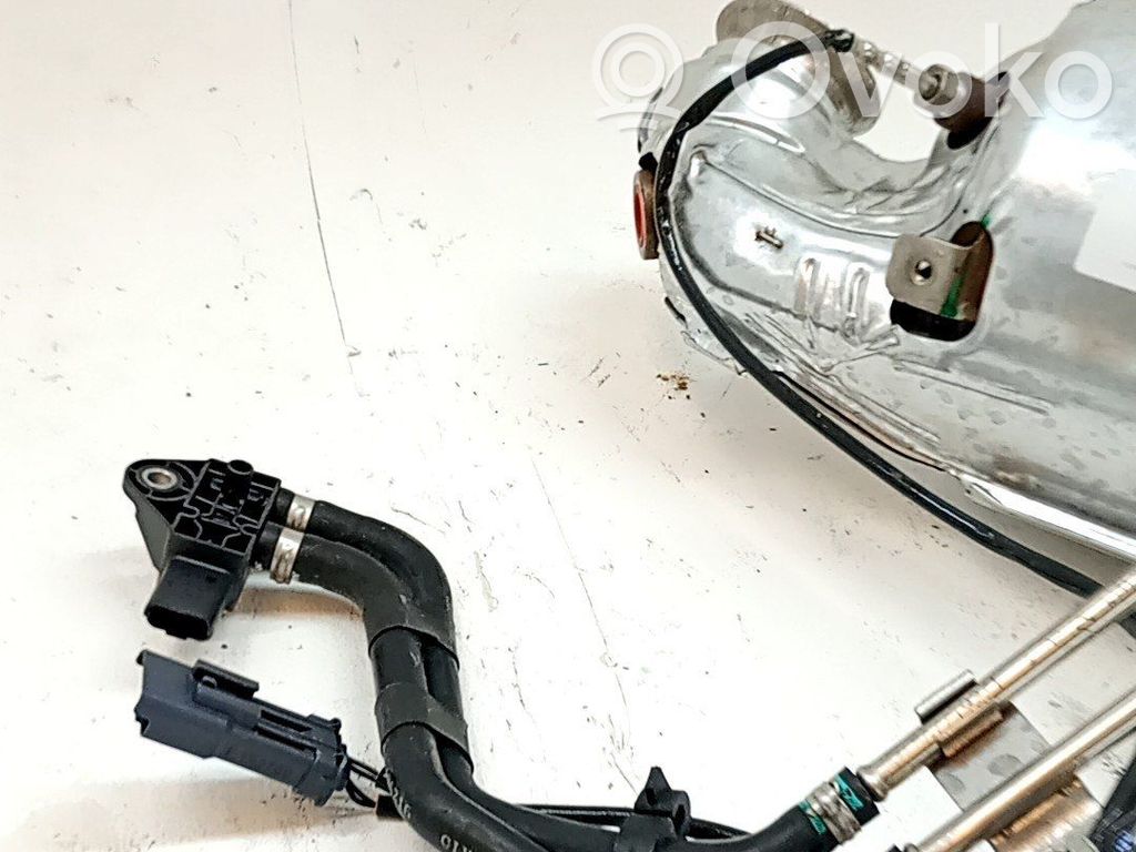Citroen Berlingo Filtru de particule catalizator/FAP/DPF 