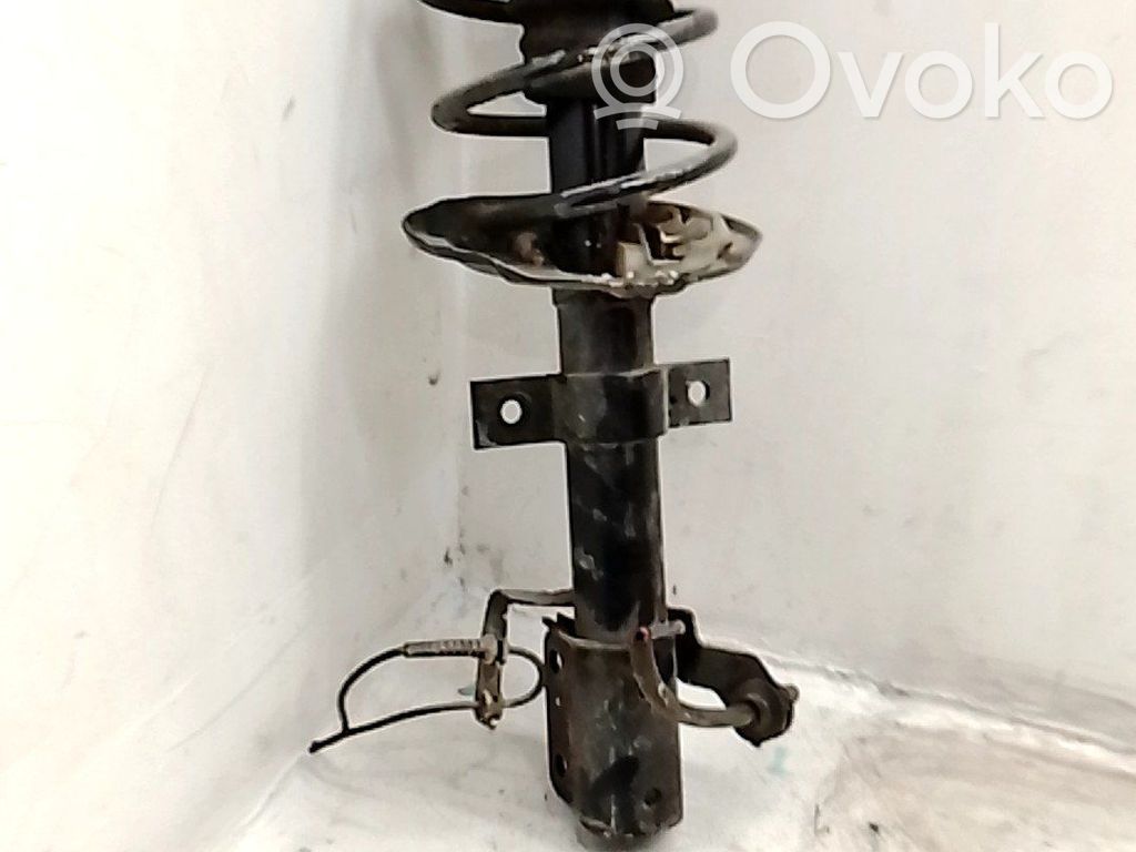 Stoßdämpfer vorne   543028590R