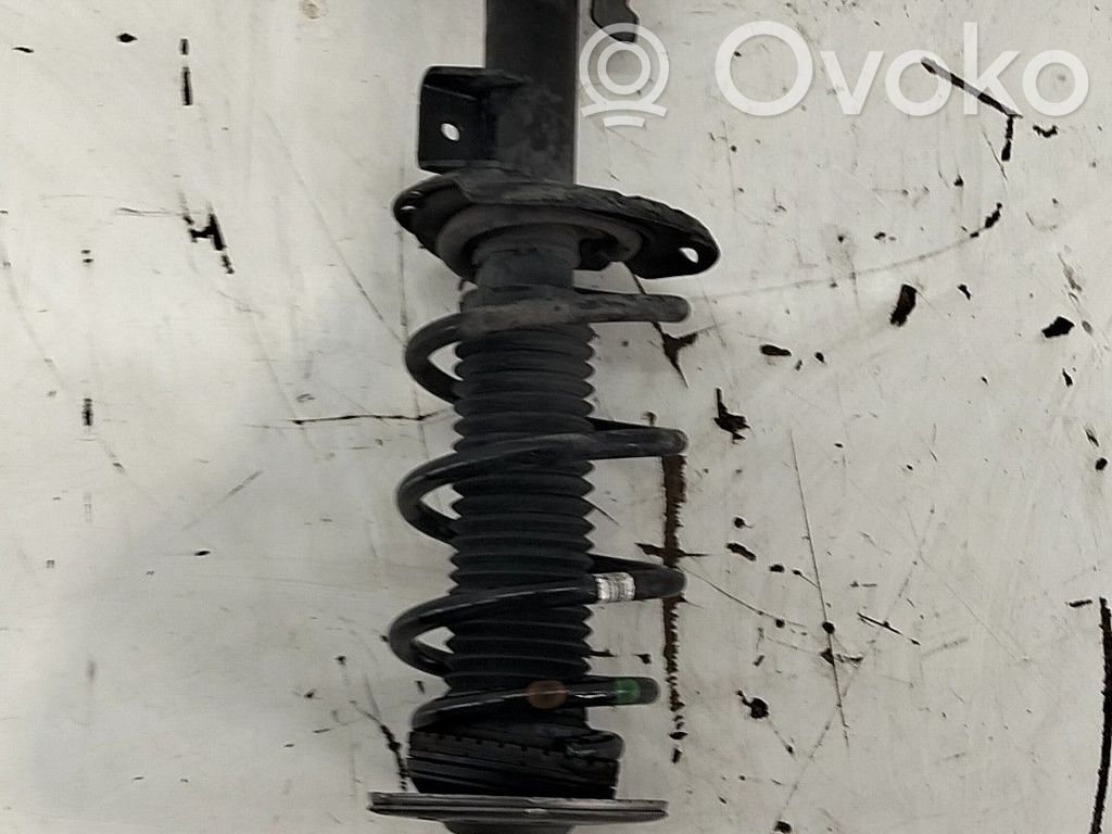 Land Rover Range Rover Evoque L538 Amortizor față 