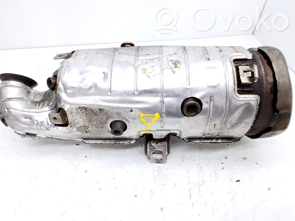 Citroen C3 Filtro antiparticolato catalizzatore/FAP/DPF