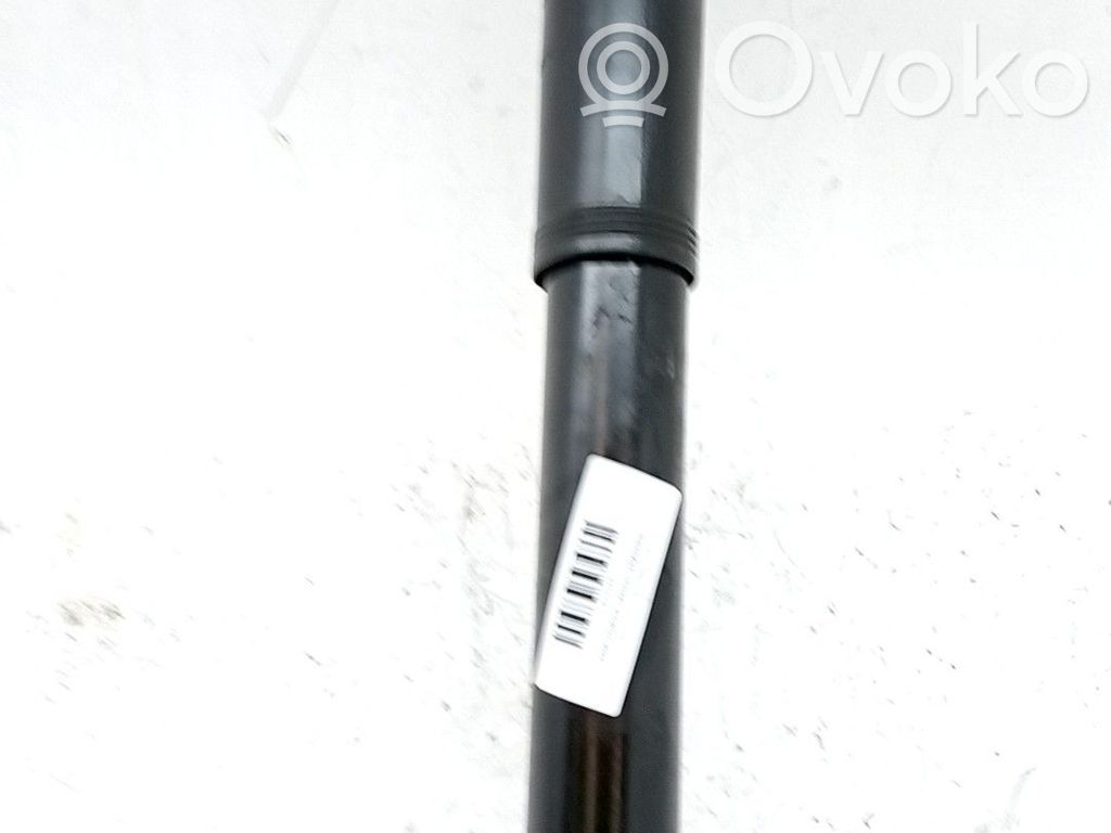 Stoßdämpfer hinten   9846669980