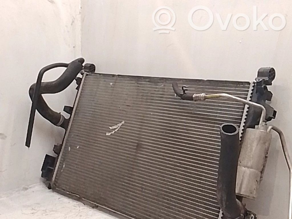 Radiator lichid răcire   12775609