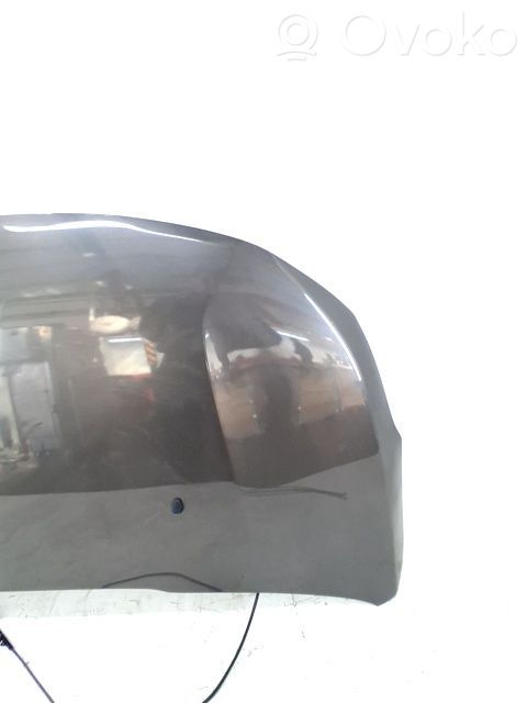 Capotă motor   9814028780
