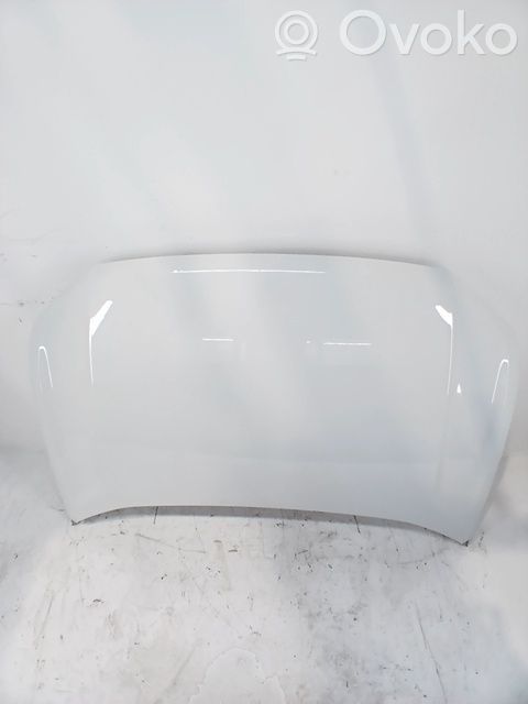 Motorhaube   2GM823031D
