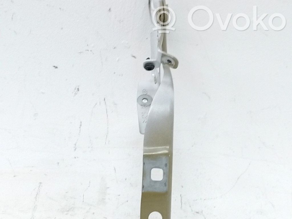 Dzinēja pārsega eņģe (-es)   9808654680