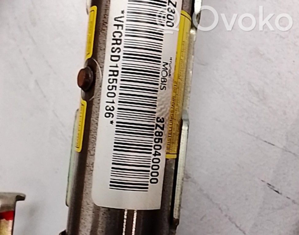 Airbag del techo   850203Z300