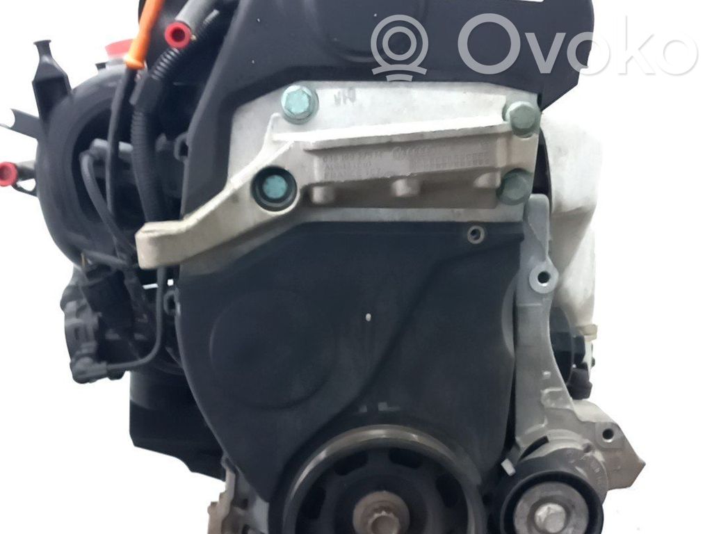Seat Ibiza III (6L) Motor completo 