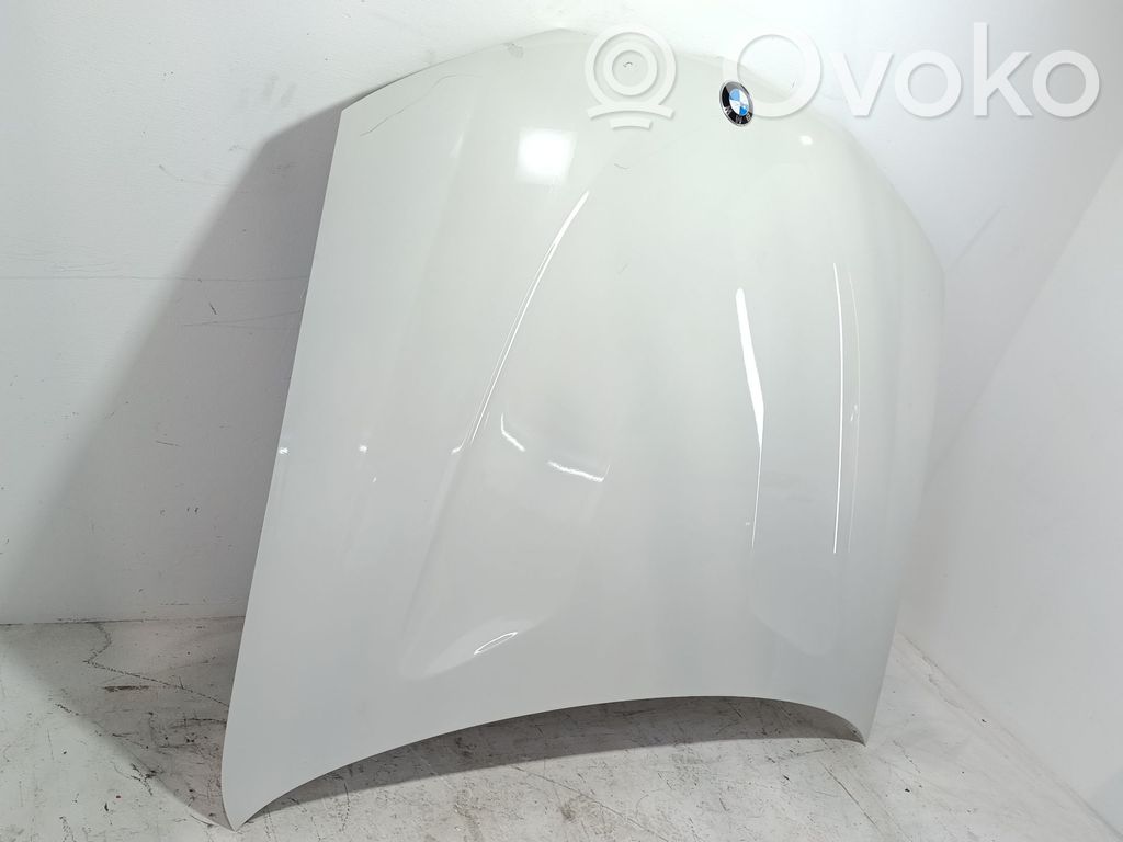 Capó/tapa del motor   41617267337