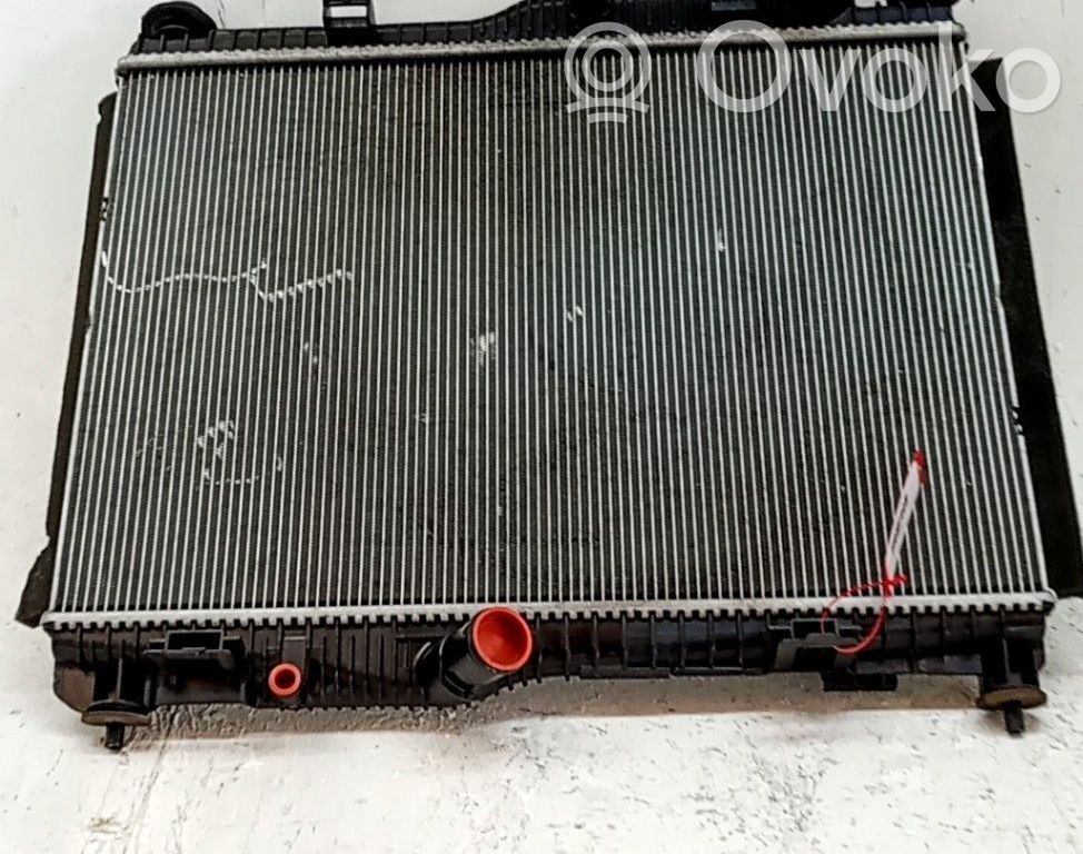 Ford Transit -  Tourneo Connect Radiator lichid răcire 
