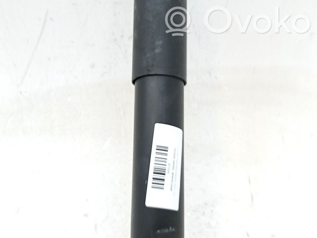 Stoßdämpfer hinten   9826242780
