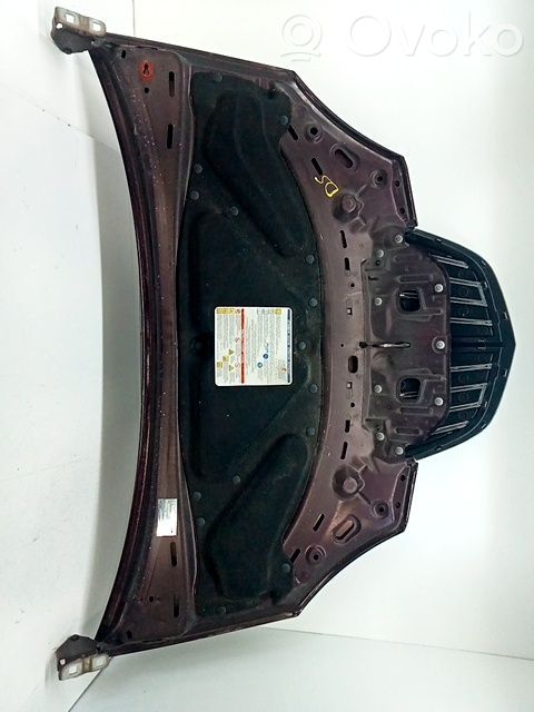 Capó/tapa del motor   51732277