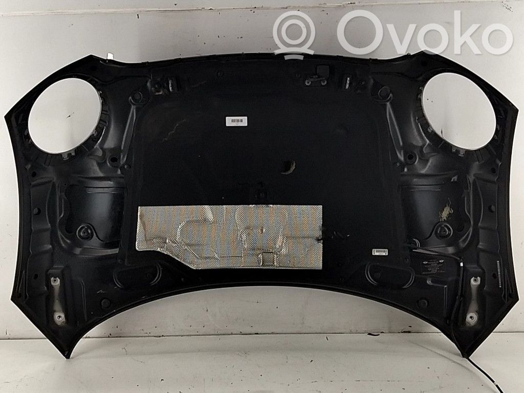 Capó/tapa del motor   41617318364