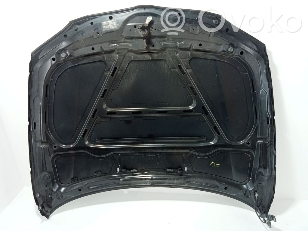 Capó/tapa del motor   41627162102