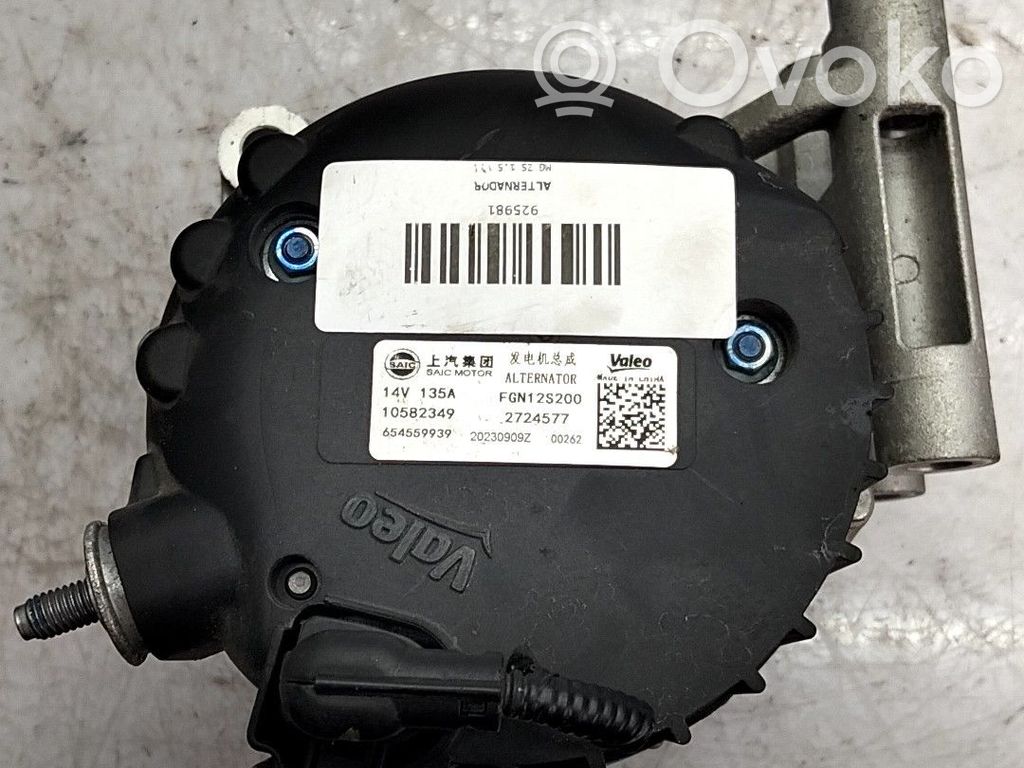 Generator/alternator   10582349