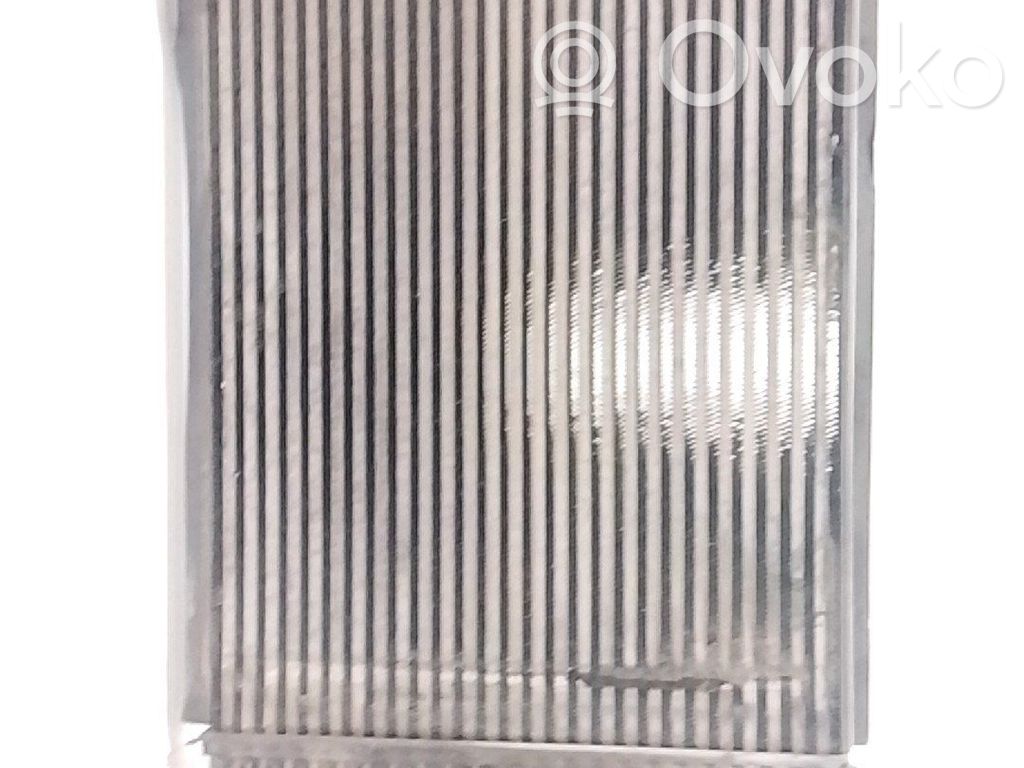 Seat Toledo III (5P) Radiator intercooler 