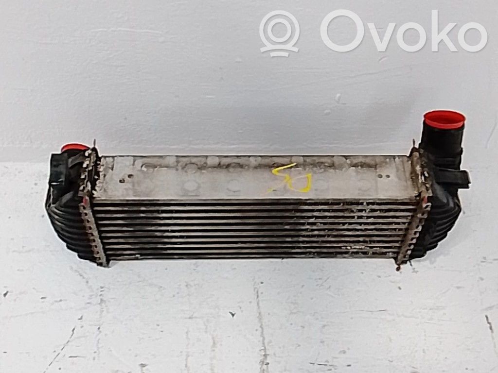 Radiatore intercooler   8200427469