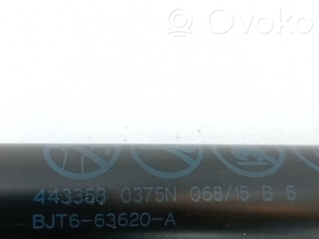Tailgate/trunk/boot lid buffer   BJT663620A