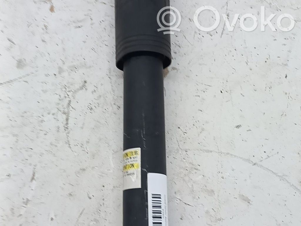 Stoßdämpfer hinten   4853079305