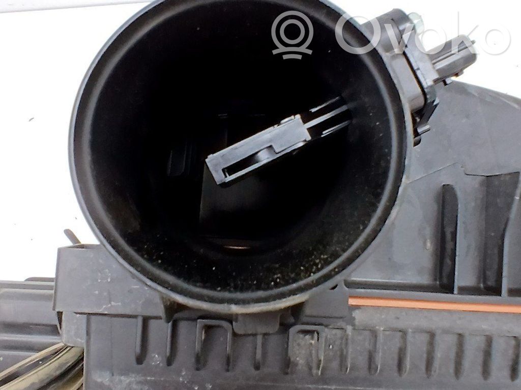 Luftfilterkasten   165004JA1B