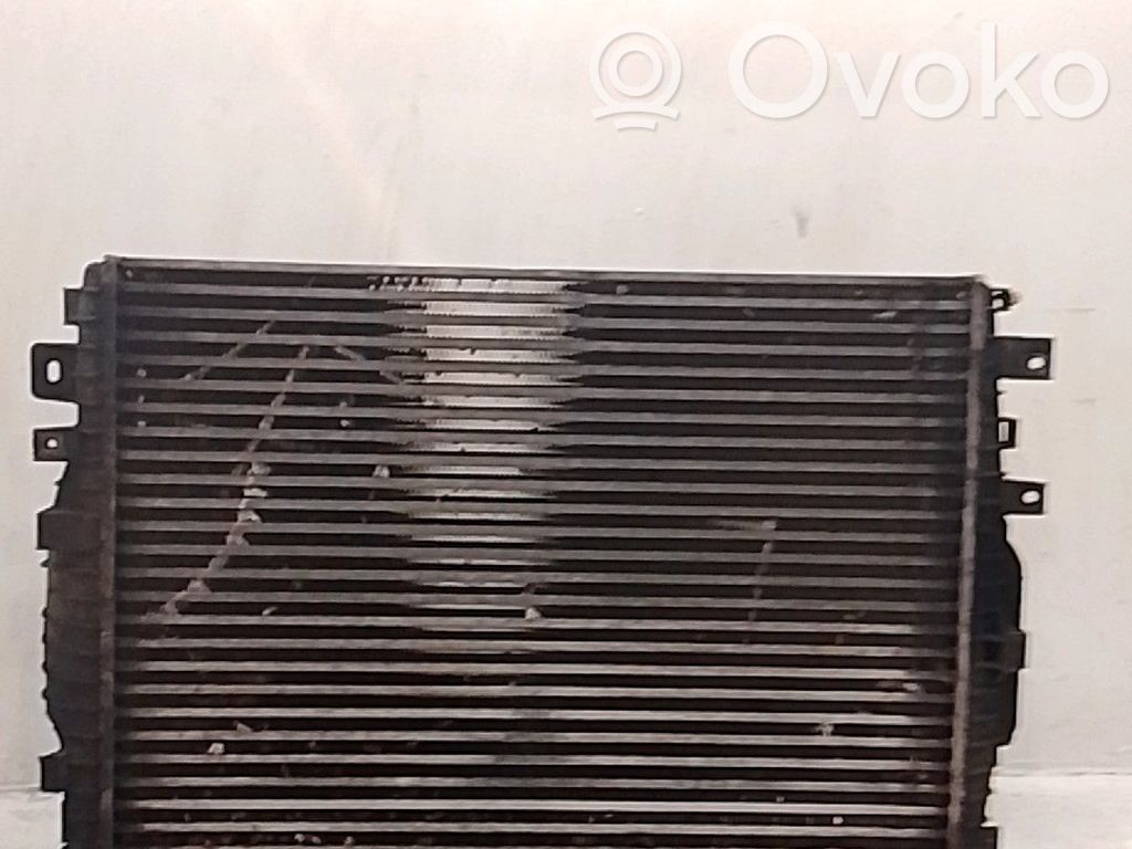 Jaguar XF X250 Radiatore di raffreddamento 