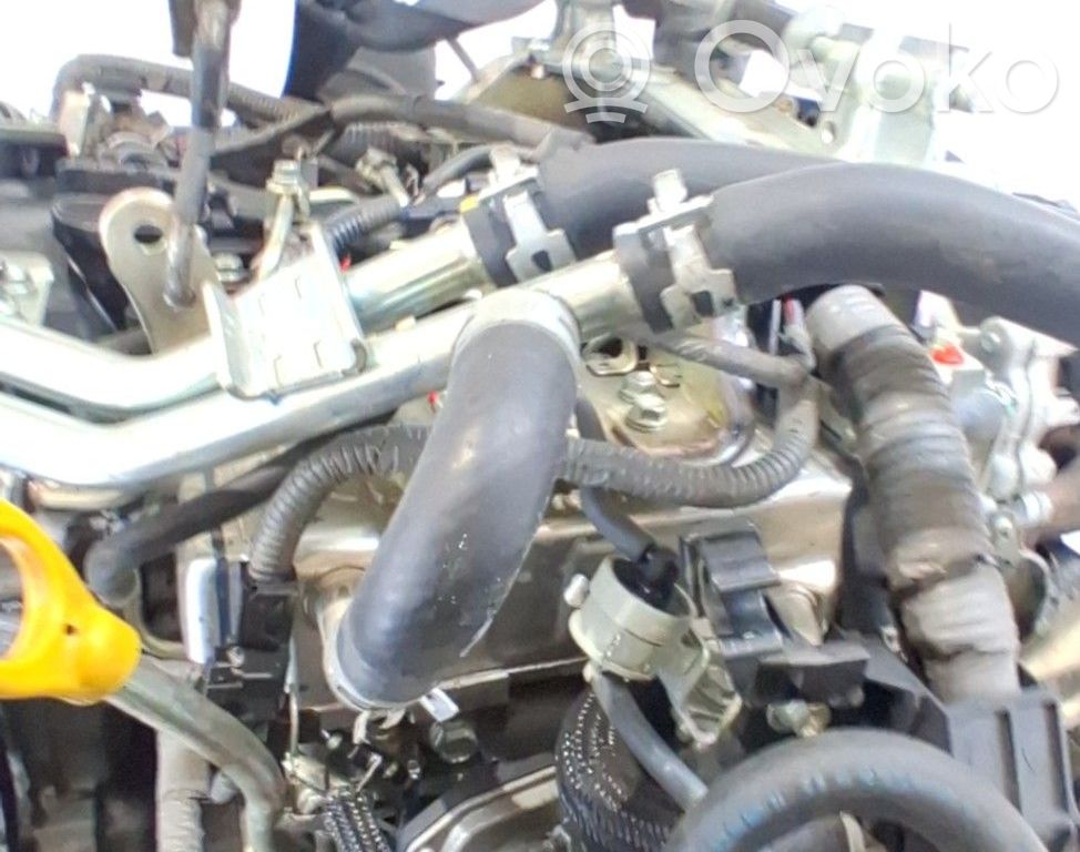 Toyota Land Cruiser (J150) Kompletne silniki 
