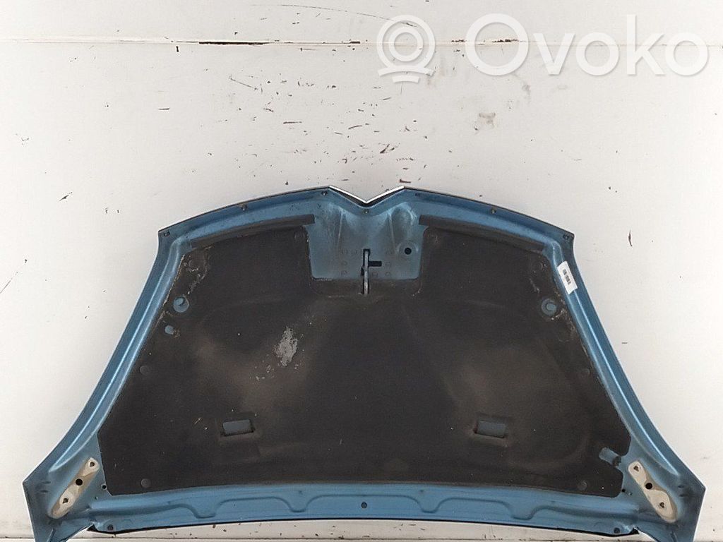Motorhaube   7901N7
