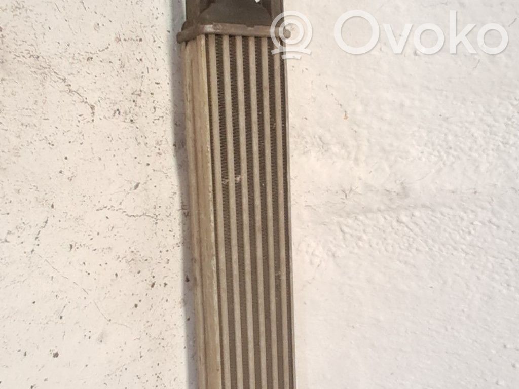 Radiator intercooler   55702004