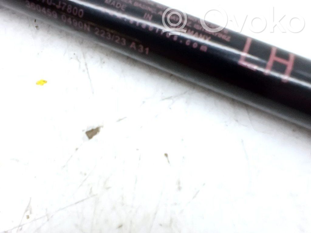 Amortiguador del maletero/compartimento de carga   81770J7800